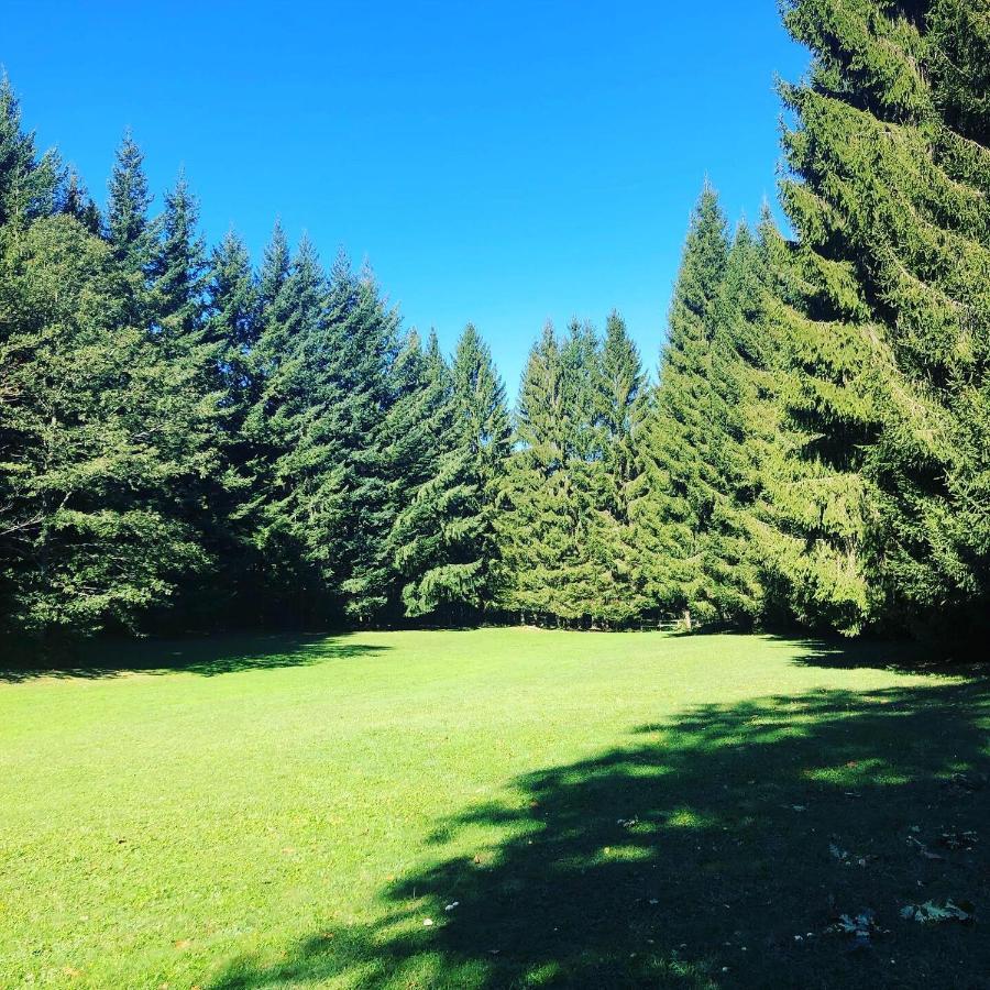 Вилла Agriturismo La Casa Nel Bosco Boveglio Экстерьер фото